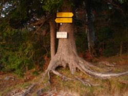2013-10-26_Schildenstein (397).JPG